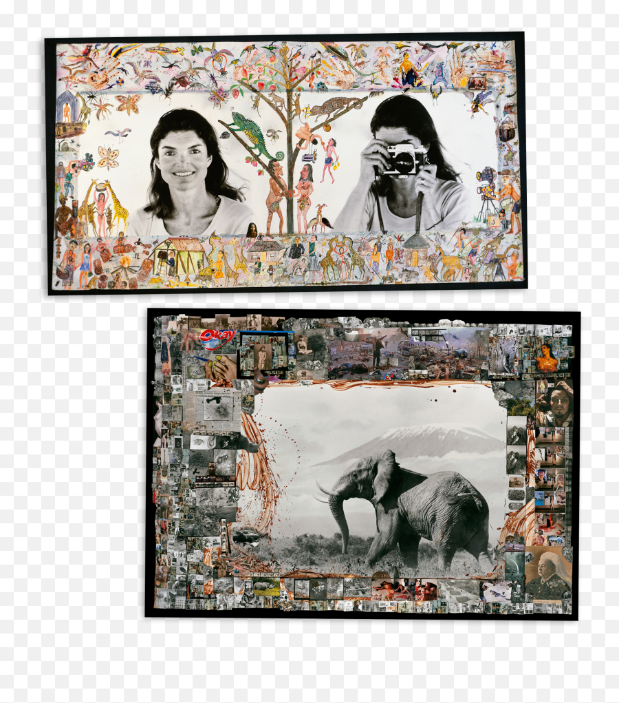 Peter Beardu0027s Life From His Art To His Wives To His Death - Artist Peter Beard Emoji,Elephant Touching Dead Elephant Emotion