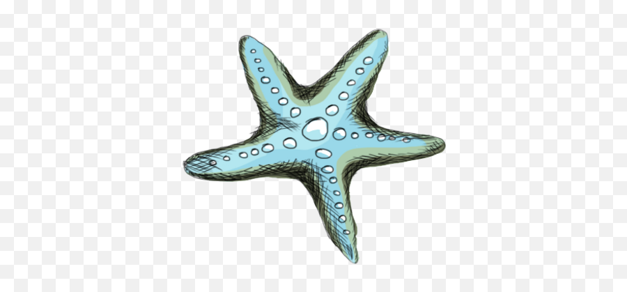Emerald Isle Nc Vacation Condo Additional Information - Starfish Emoji,Starfish Emoticon For Facebook