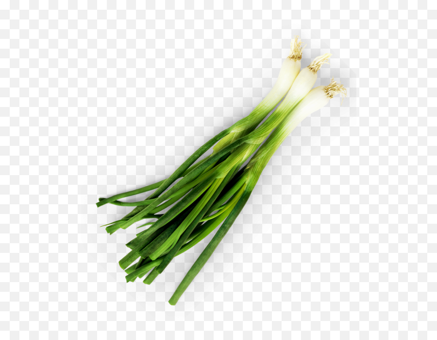 Chives Transparent Png Image - Freepngdesigncom Superfood Emoji,Emoji No Onions