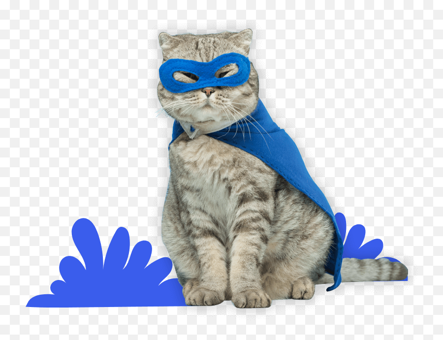 Free Meme Generator - Online Text Gif Drake Meme Maker Emoji,Cat Emoticon Meme