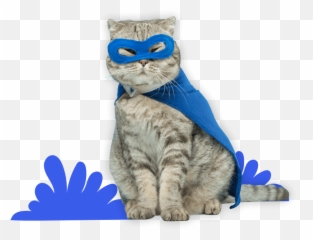 Free Meme Generator - Online Text Gif Drake Meme Maker Emoji,Cat Emoticon Meme