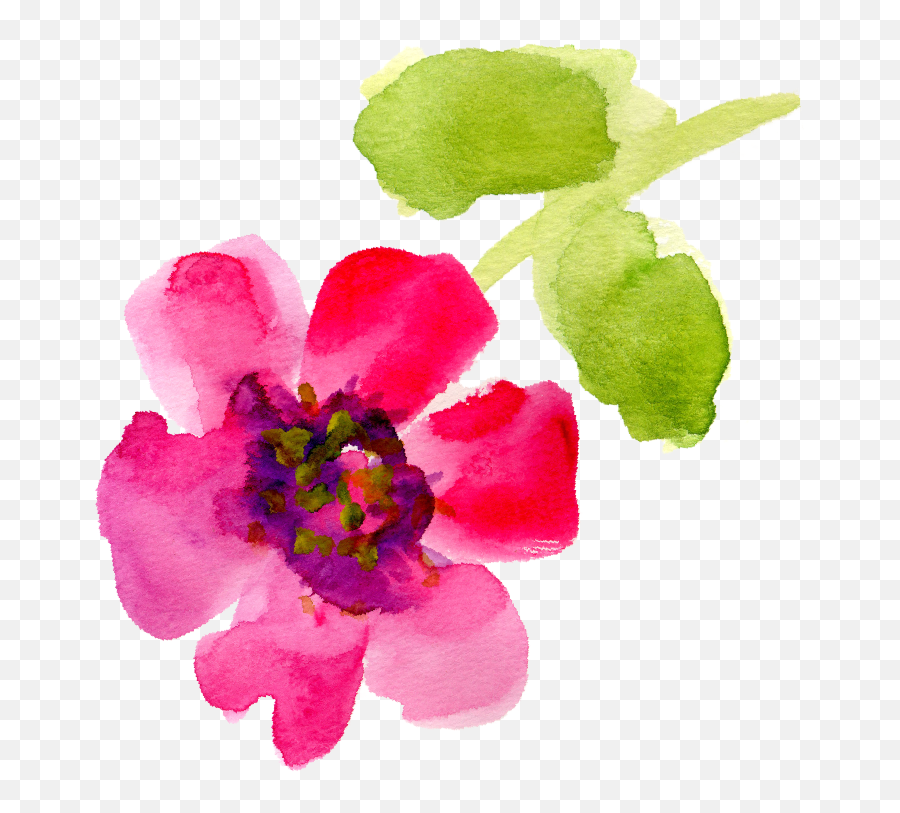 Spring Reboot Nourished Body And Mind Emoji,Sweet Emotion Sabotage Spring Reboot Nourished Body And Mind Emoji,Sweet Emotion Sabotage