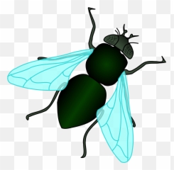 Green House Fly Clipart - Housefly Clipart Png Emoji,Flies Emoji