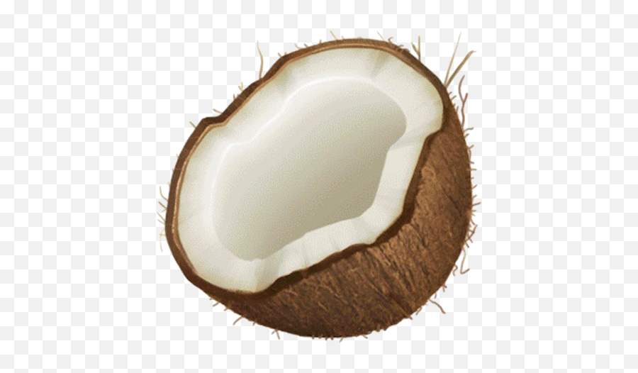 Images U2013 Wayneu0027s Workshop - Clipart Transparent Background Coconut Emoji,Royals Emoji