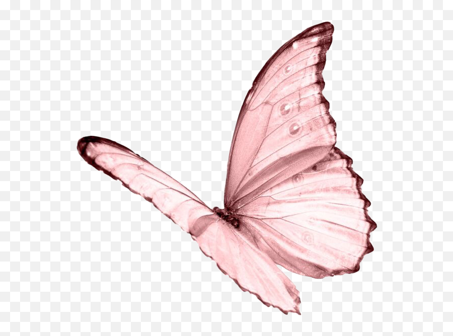 Moodboard Aesthetic Pastel Pink Sticker - Pink Butterfly Transparent Background Emoji,Pink Butterfly Emoji