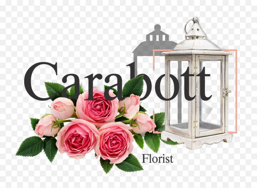 Leading Florists In Malta Gozo - Floral Emoji,Blue Emotion Rose
