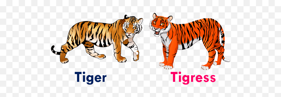 Pin - Tiger Clipart Emoji,Animal Emoji Names