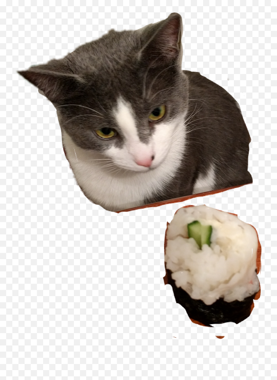 The Most Edited 30likes Picsart - Domestic Cat Emoji,Sushi Cat Emoticons