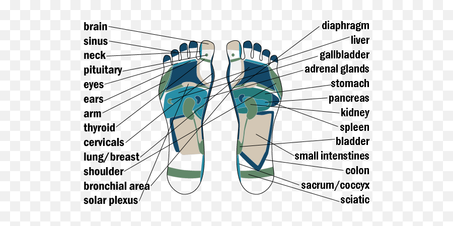 Reflexology Map - Dirty Emoji,Reflexology Heel Emotions