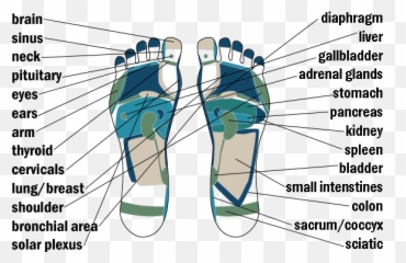 Reflexology Map - Dirty Emoji,Reflexology Heel Emotions