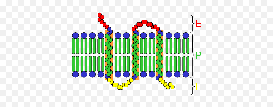 Giovanni Girolamo Saccheri - Cell Surface Receptor Extracellular Domain Emoji,Emotion Ambiguity, Gaussian, Cone