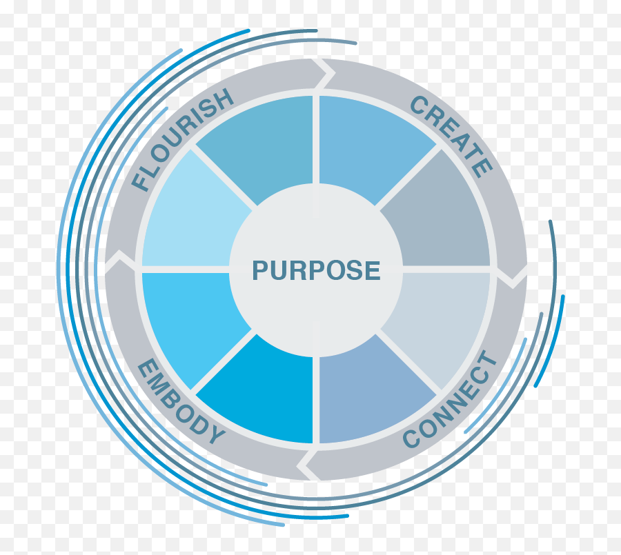 The Soe Collaborative For Wellness And - Basic Accounting Concepts Emoji,Esl Emotions Wheel