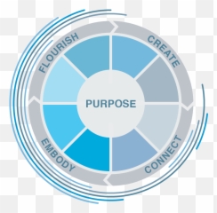 The Soe Collaborative For Wellness And - Basic Accounting Concepts Emoji,Esl Emotions Wheel