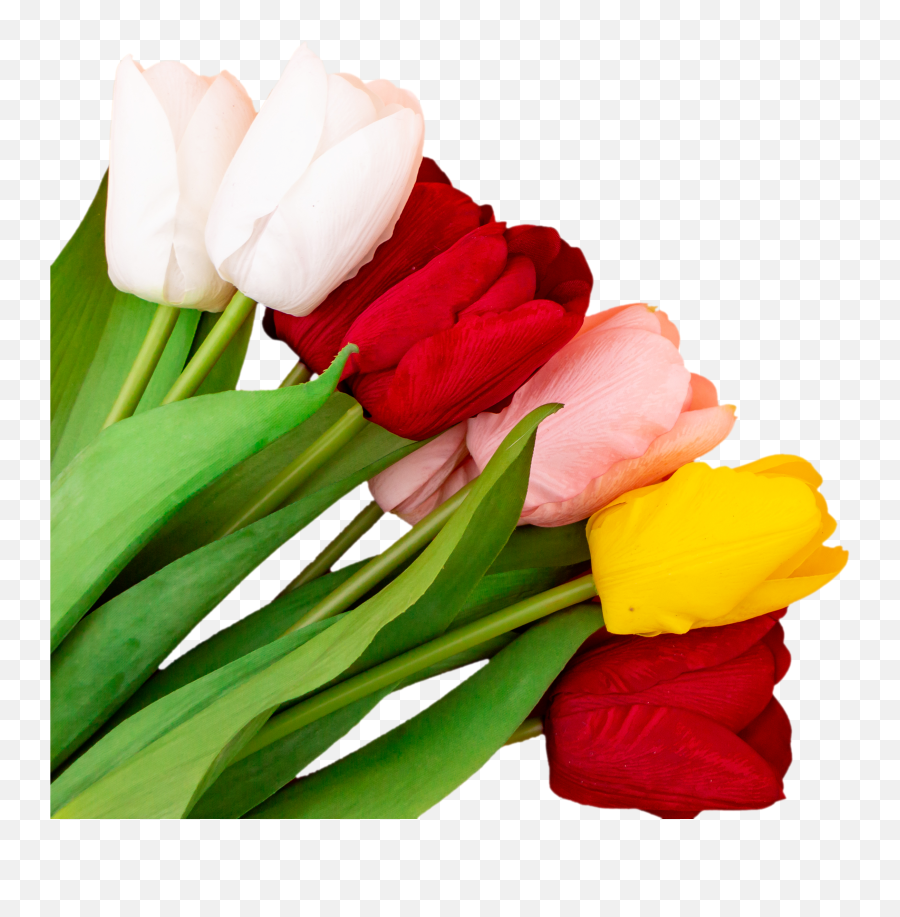 Discover Trending Primavera Stickers Picsart Emoji,What Is The New Tulip Shaped Emoji