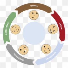 The Loss Cycle After Separation - Dot Emoji,Divorce Emotions Cycle