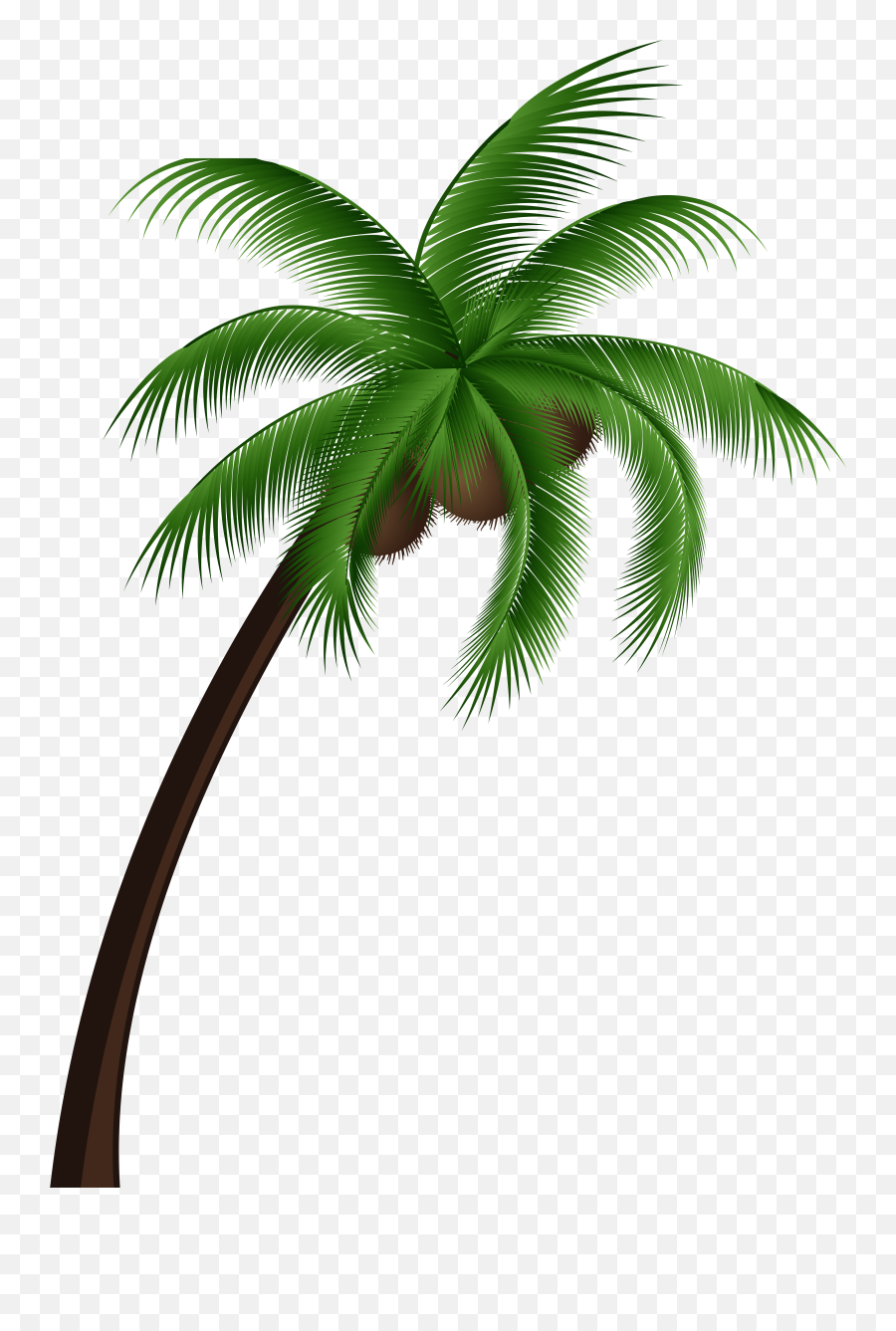Emoji Clipart Palm Tree Emoji Palm - Coconut Palm Tree Png,Palm Emoji