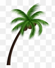 Emoji Clipart Palm Tree Emoji Palm - Coconut Palm Tree Png,Palm Emoji