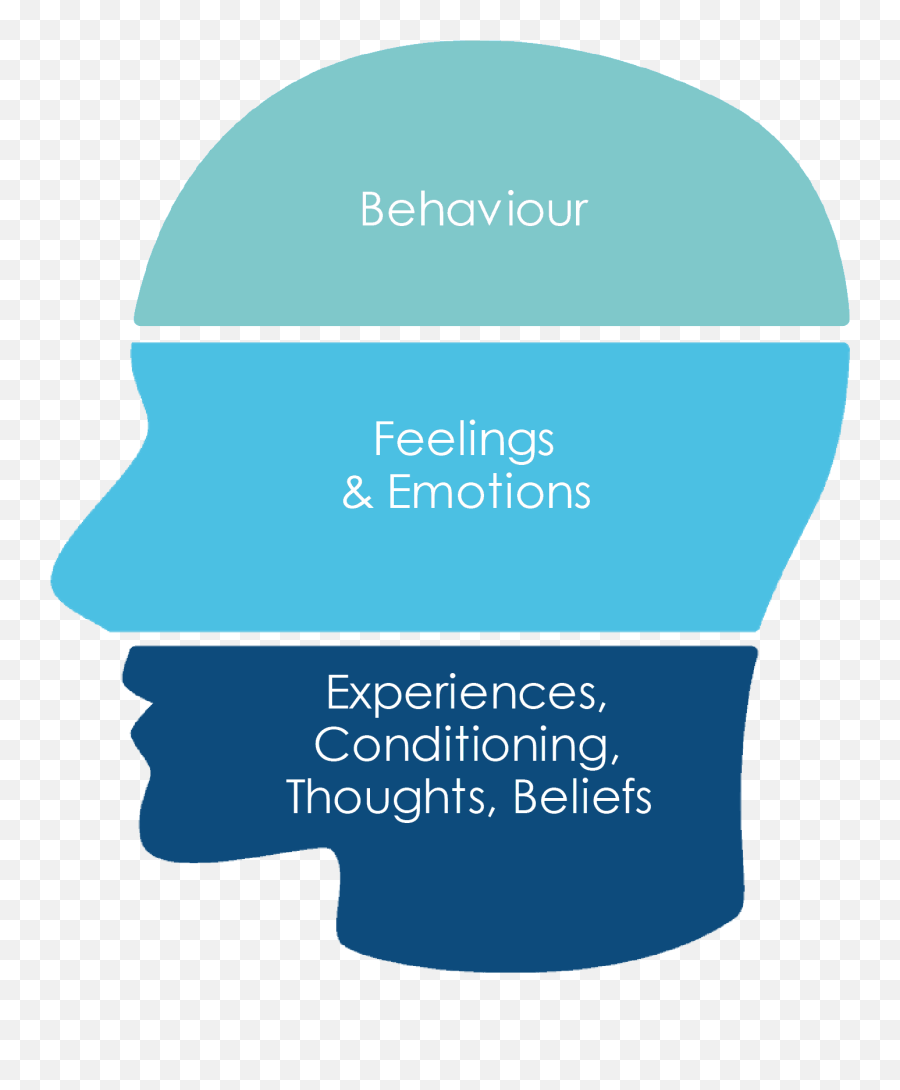 Emotions In The Customer Journey U2013 Ctp Resources - Amaatra Academy Emoji,Co Branding And Negative Emotions