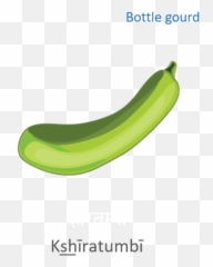 Vegetables - Superfood Emoji,Emoji Eggplant Or Squash