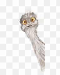 Empty Nest Emoji,Mel Robbins Feeling Emotion Vs Acting On It