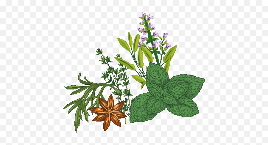 Can You Buy That At A Farmeru0027s Market Baamboozle Emoji,Herb Emojis