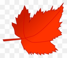 Red Maple Photo Background Transparent Png Images And Svg Emoji,Autumn Leaf Emoticon.