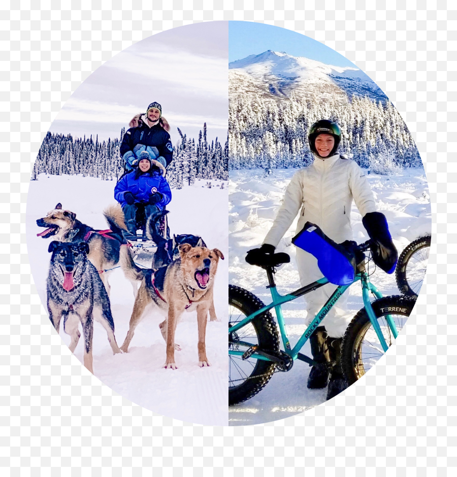 Dogsled Rides U2014 Alaskan Husky Adventures Emoji,Emotion Kkayak At Cabelas