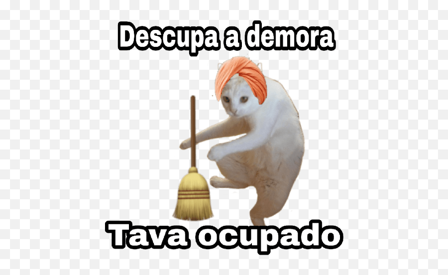 As Mais Irônicas Emoji,Broom Cleaning Emoji