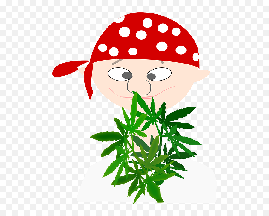 Free Pictures Pirate - 137 Images Found Boy Marijuana Emoji,Cannabis Leaf Emoticons