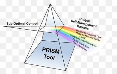 Problem Recognition In Illness Self - Management Prism Prism Tool Emoji,Questionnaire For Children's Management Of Emotions