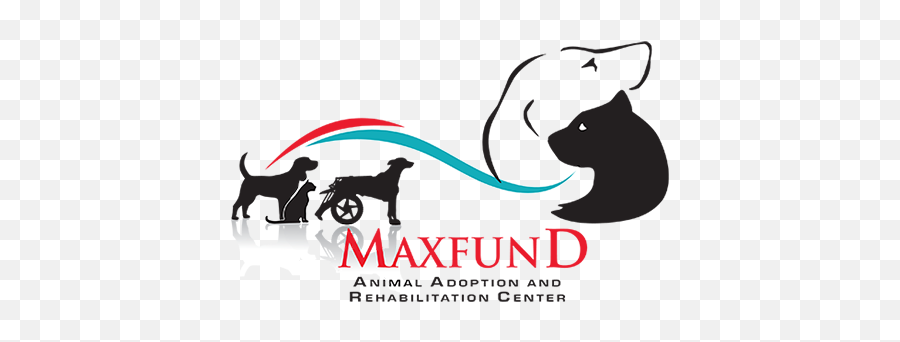 Maxfund Animal Adoption Center Denveru0027s No - Kill Animal Maxfund Emoji,Emotions Pet Copywriter