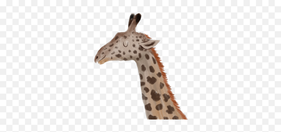 Naudy Galvez Galveznaudy - Profile Pinterest Northern Giraffe Emoji,Childrens Book Emoji Pictionary Baby