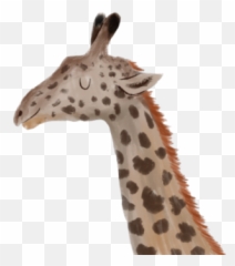 Naudy Galvez Galveznaudy - Profile Pinterest Northern Giraffe Emoji,Childrens Book Emoji Pictionary Baby