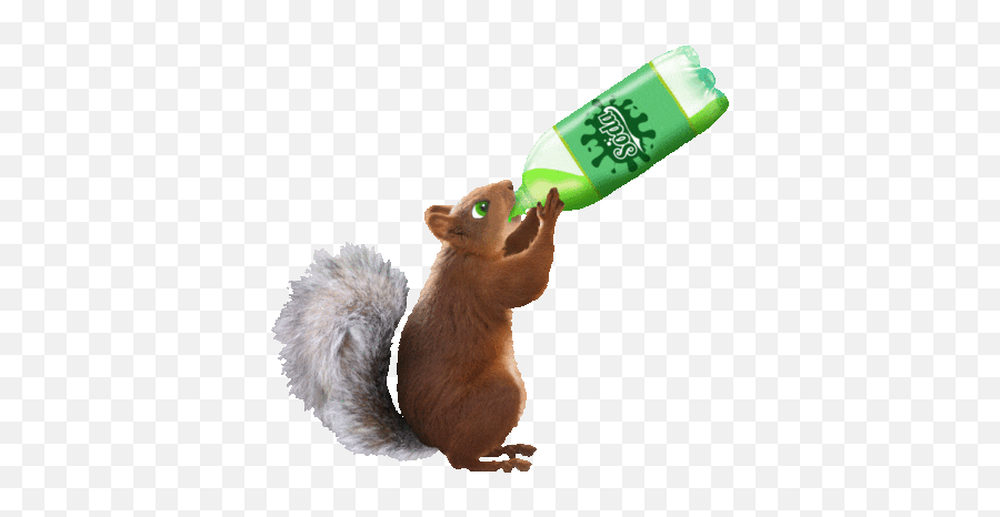 Wordy Birdy Articulation Of Er Sound Baamboozle - Squirrel Drink Gif Animated Emoji,Beer Drinking Emoticon Gif