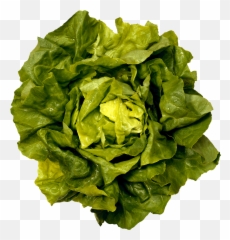 Lettuce Clipart Green Foods Lettuce - Eat Your Colors Evans Lynette Emoji,Lettuce Emoji