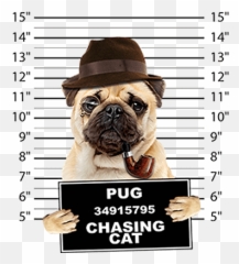 Pug T - Shirt Mug Shot Emoji,Abstract Pug Emotion