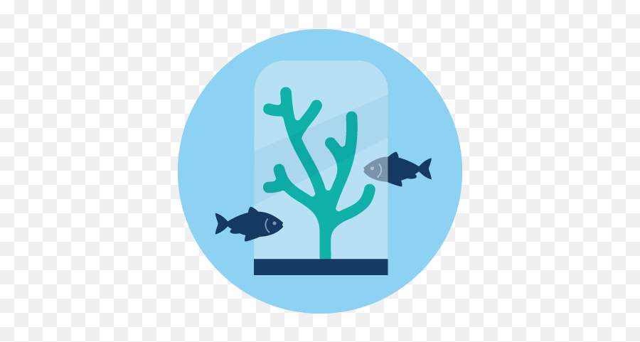 Illustration Representing Fish On A Coral Reef - Fish Emoji,Coral Emoji