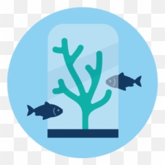 Illustration Representing Fish On A Coral Reef - Fish Emoji,Coral Emoji