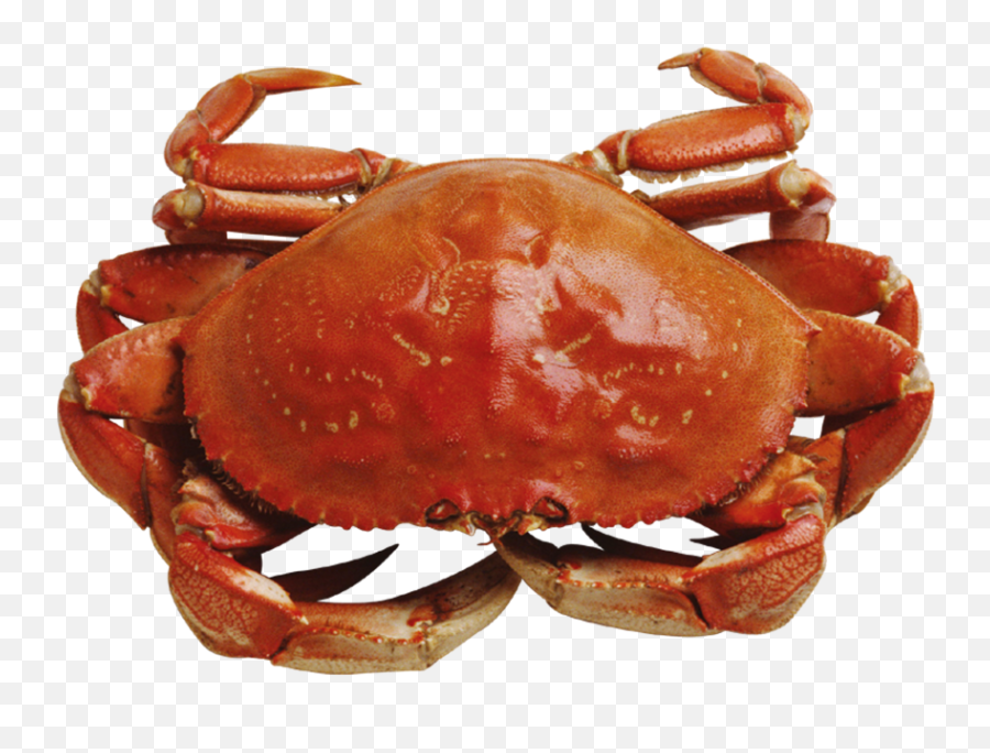 Crab Png Images - Red Crab Png Emoji,Crab Emoticon