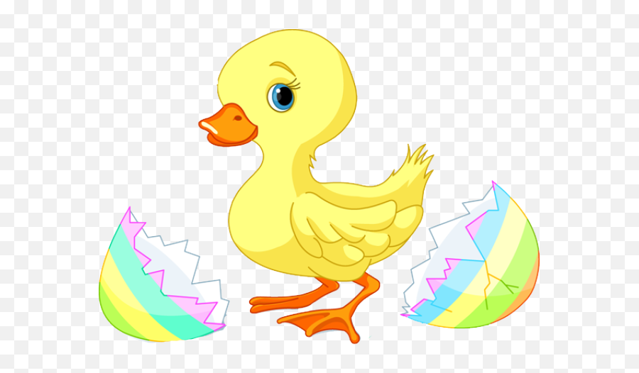 Baby Ducks Clip Art Dromgbl Top - Easter Duck Clip Art Emoji,Baby Duck Emoji