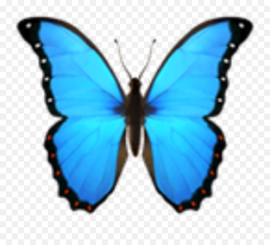 Download Blue Butterfly Emoji Png Png U0026 Gif Base - Blue Butterfly Emoji Png,Lightning Emoji