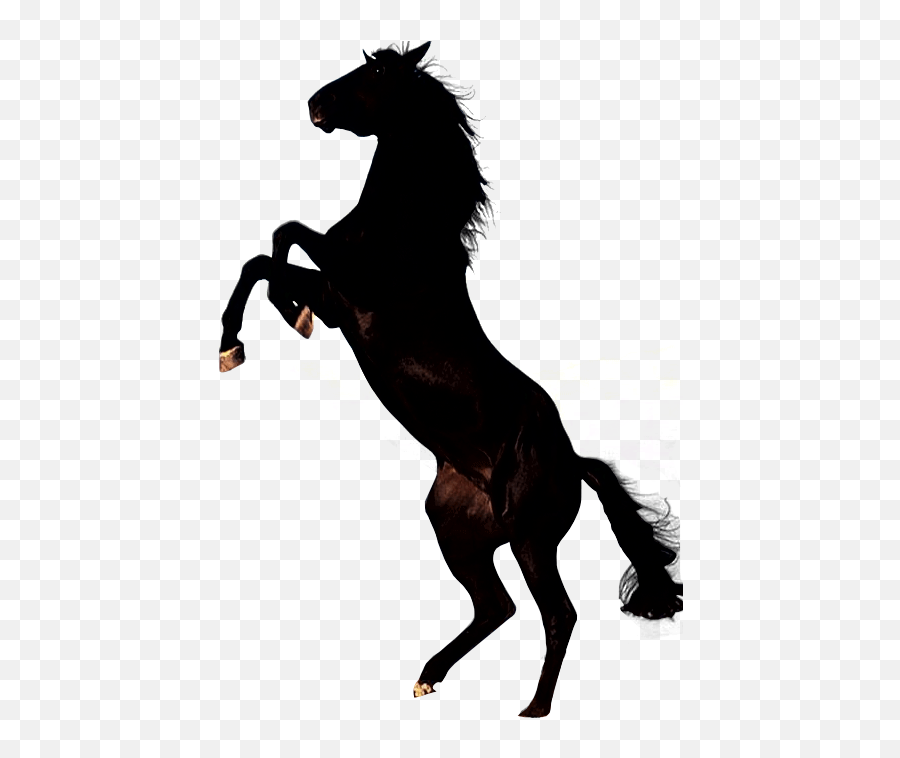 Free Horse Cliparts Transparent - Black Horse Png Emoji,Man And Horse Emoji