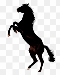 Free Horse Cliparts Transparent - Black Horse Png Emoji,Man And Horse Emoji