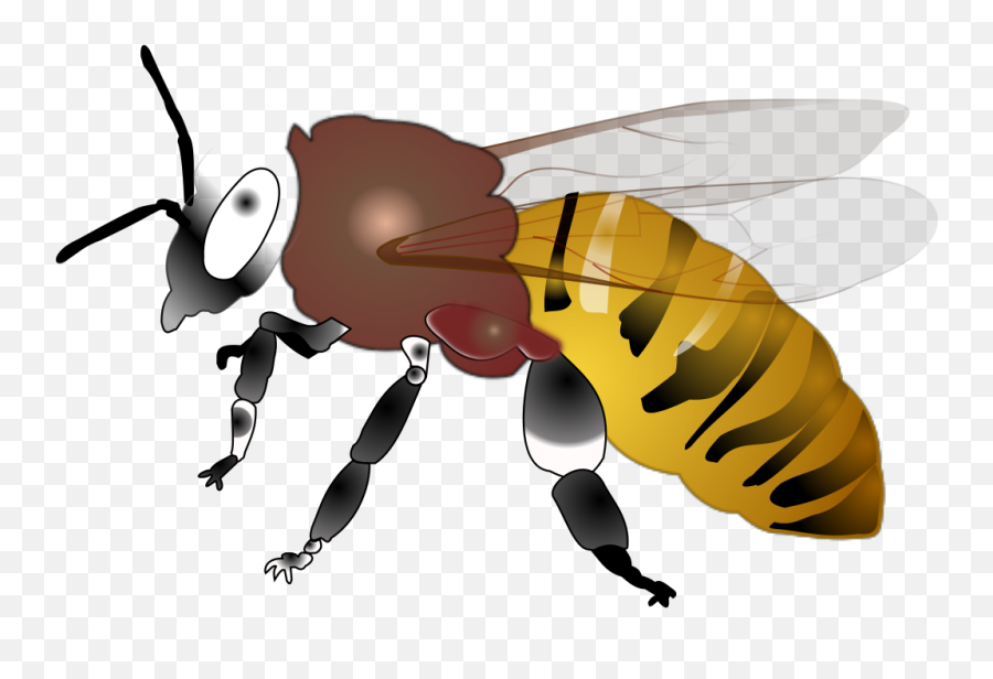 Hornet Png Svg Clip Art For Web - Honey Bee Emoji,Emoji The Green Hornet