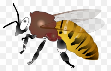 Hornet Png Svg Clip Art For Web - Honey Bee Emoji,Emoji The Green Hornet