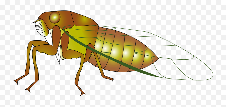 Cicada Clipart - Cicadas Clipart Emoji,Cicada Emoji