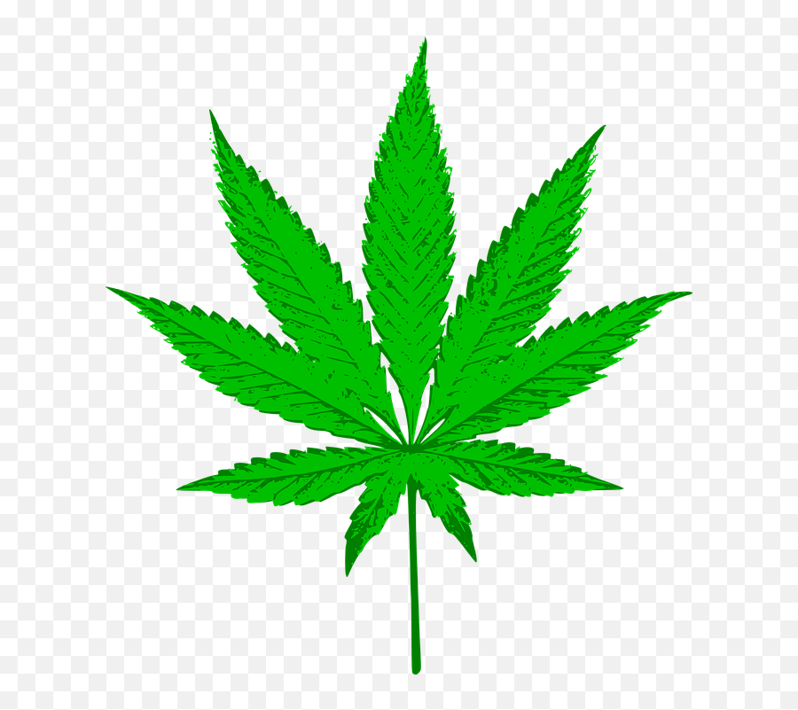 Free Photo Sativa Hemp Grass Weed - Cannabis Png Emoji,Weed Leaf Emoticon