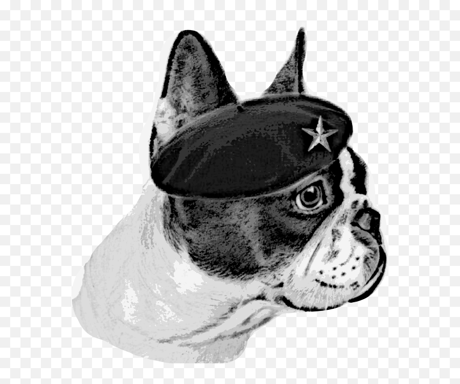 The Most Edited Cheguevara Picsart - Bulldog Emoji,Boston Terrier Emoticons