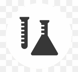 Rome Escorted Tour With Lindsey Davis - Laboratory Flask Emoji,Emotion Tour Chile