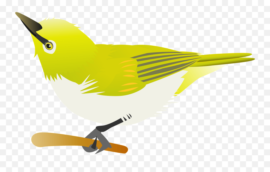 Japanese White - Eye Apricot Clipart Free Download Emoji,Eye Roll Emoji Japanese